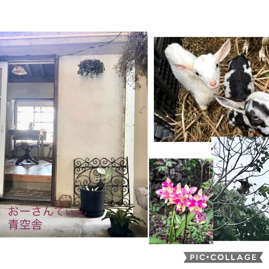 Hotel Travelers House おーさんてぃん青空舎 Taketomi Esterno foto